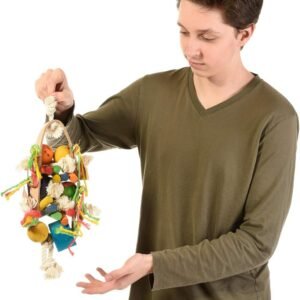 61OBNGoV2qL. AC SL1280 .jpg