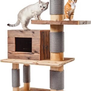 61OLw1IdIML. AC SL1280 .jpg