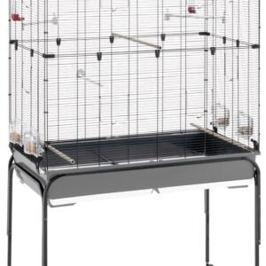 61OcMsOUaL. AC SL1000 .jpg