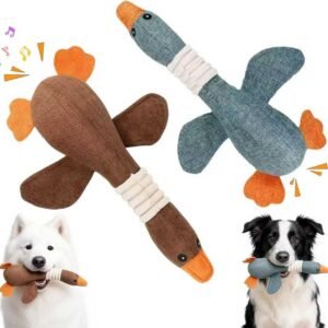 61Ohfbt3dwL. AC SL1280 .jpg