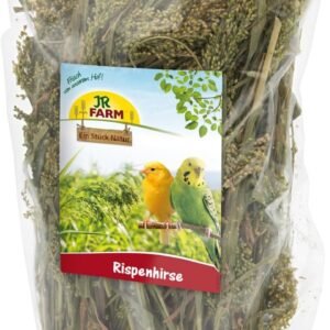 61OpCXnSTwL. AC SL1280 .jpg