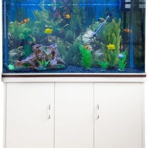 61OqiBLNcJL. AC SL1200 .jpg