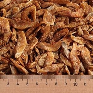 61OzxkDTLSL. AC .jpg