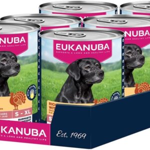 61PKyu1r4OL. AC SL1000 .jpg