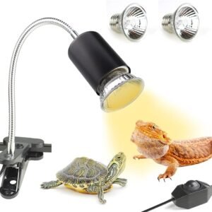 61Paa7C3fNL. AC SL1001 .jpg