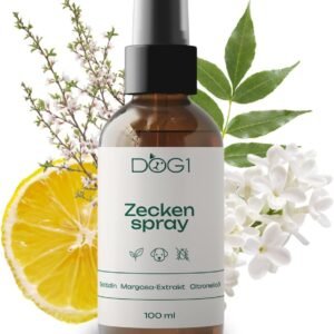 61Pdim86AwL. AC SL1080 .jpg