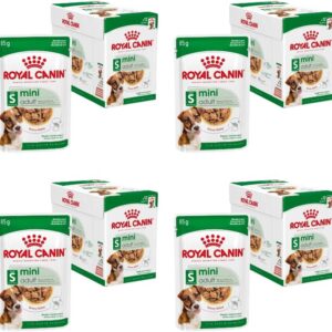 61Pkidu1mUL. AC SL1080 .jpg