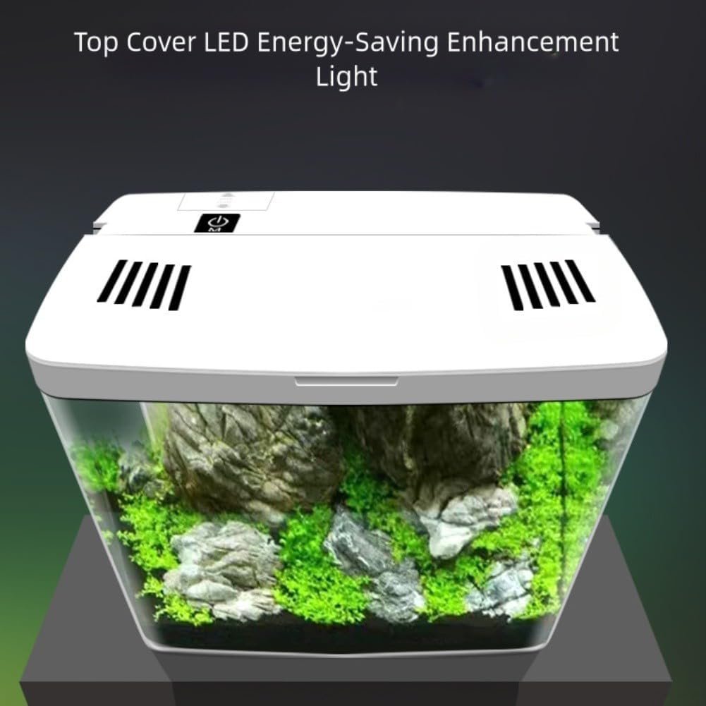 61PxDt8OoQL. AC SL1001 .jpg