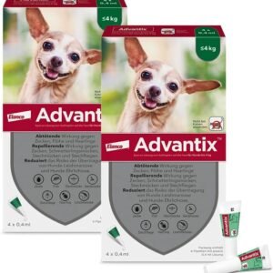 61QyOxPv8cL. AC SL1000 .jpg