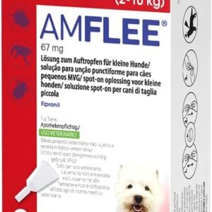 61QyZTXK6L. AC SL1500 .jpg