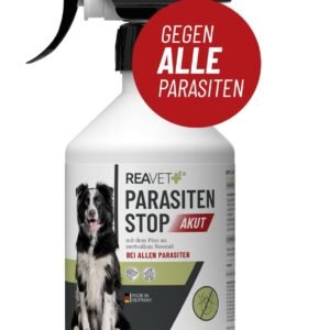 61RNSFpMndL. AC SL1200 .jpg