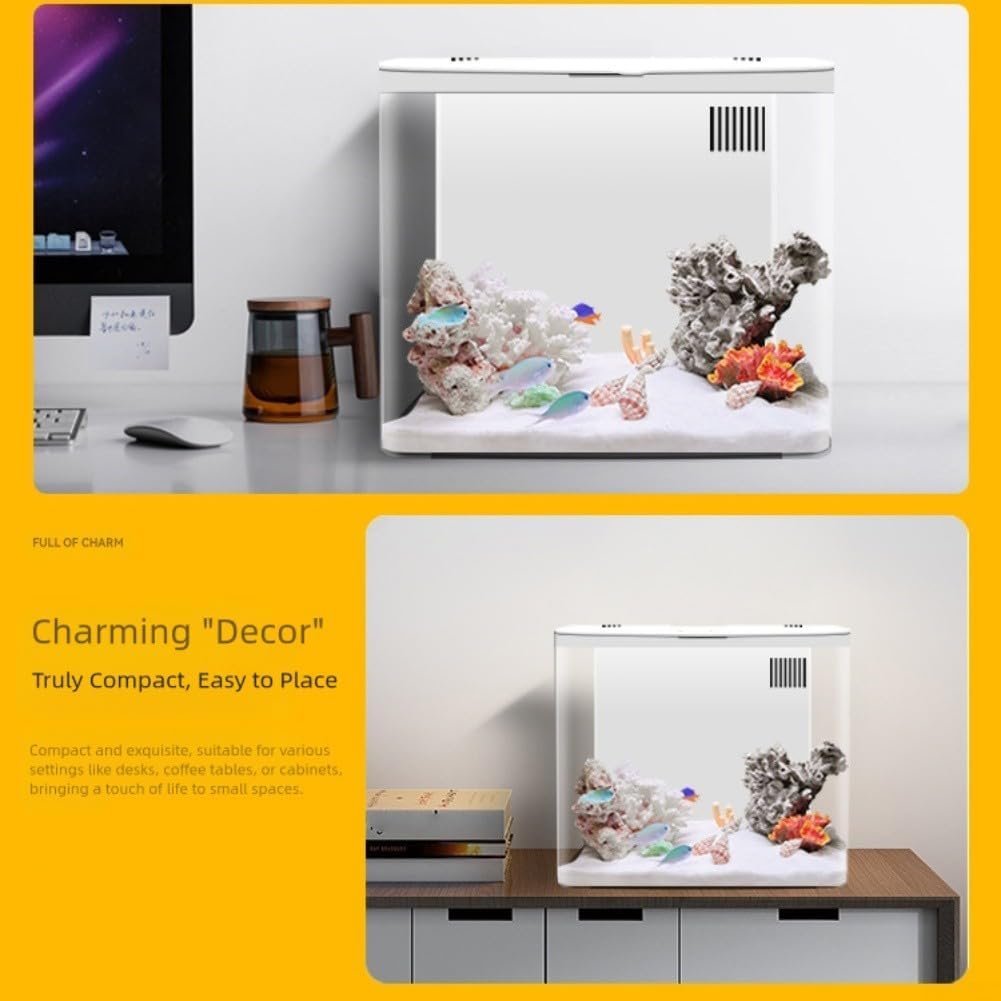 61RR83XbkLL. AC SL1001 .jpg