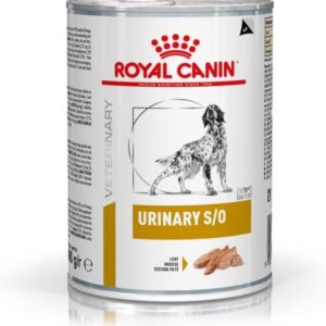 61S8Es9lx2L. AC SL1500 .jpg