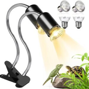 61S8cENaw0L. AC SL1000 .jpg