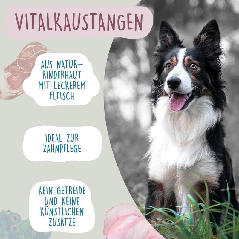 61SAVpsq0CL. AC .jpg