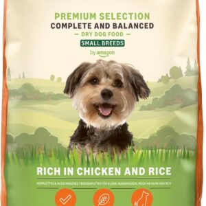 61SFfMSKqhL. AC SL1500 .jpg