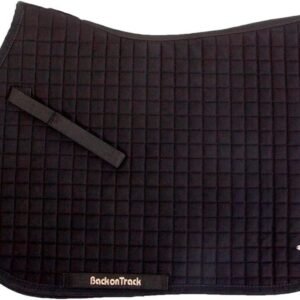 61SGxmjSxPL. AC SL1000 .jpg