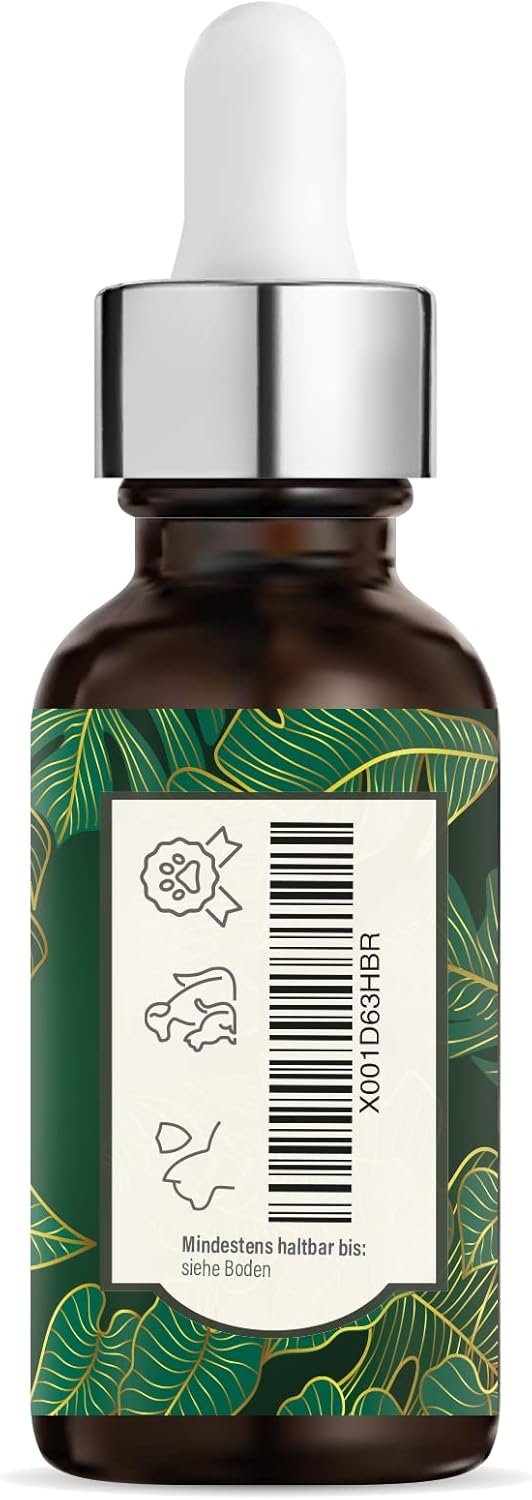 61SOvTcgPFL. AC SL1500 .jpg