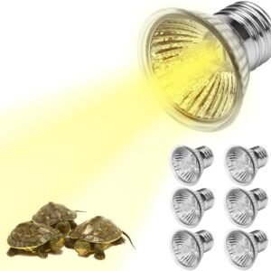 61SRy9gYuqL. AC SL1000 .jpg