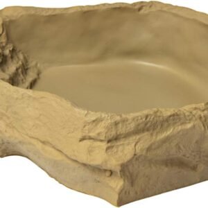 61SkWns2ZNL. AC SL1280 .jpg