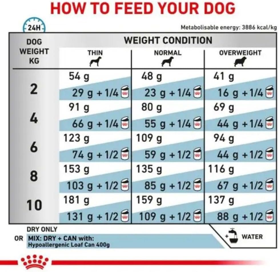 61Sp9eXL6EL. AC SL1000 .jpg