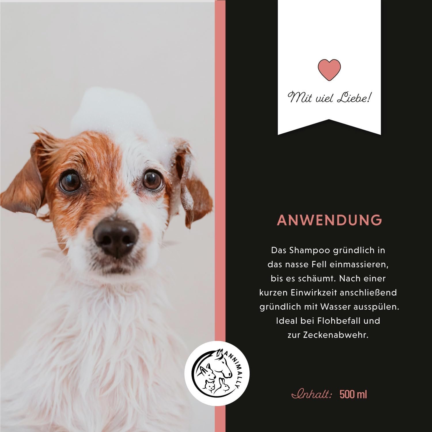 61TIkvhqZSL. AC SL1500 .jpg