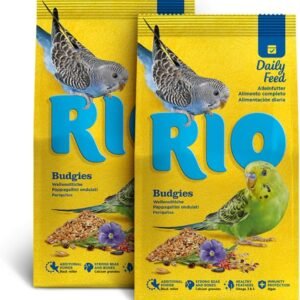 61TKo9xhdtL. AC SL1429 .jpg