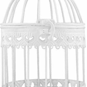 61TSKLh3G5L. AC SL1200 .jpg