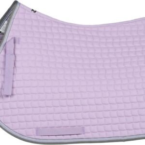 61UMDzLAFuL. AC SL1500 .jpg