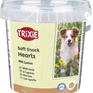 61UQ9c3xlyL. AC SL1255 .jpg