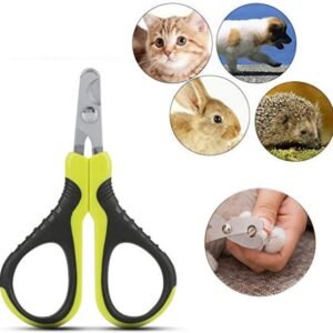 61Uak1s68yL. AC SL1003 .jpg