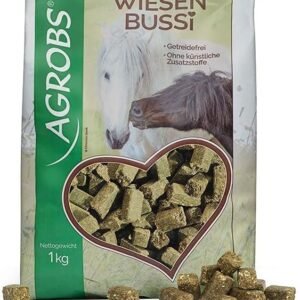 61UzH4 1RyS. AC SL1028 .jpg