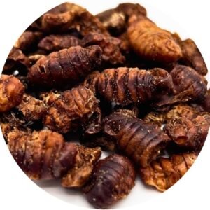 61VUve DlOL. AC SL1175 .jpg