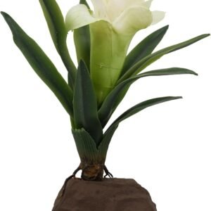 61W1dQwabmL. AC SL1500 .jpg