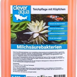 61WIvnKab0L. AC SL1080 .jpg