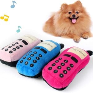 61WRhVhYGXL. AC SL1001 .jpg