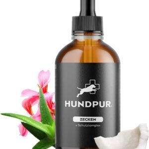 61WbjCnYOPL. AC SL1500 .jpg