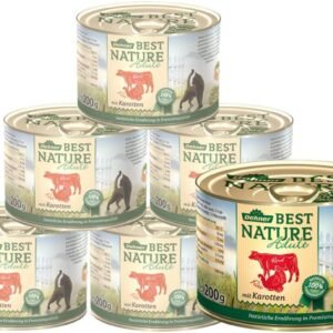 61Wpkwfe8GL. AC SL1107 .jpg