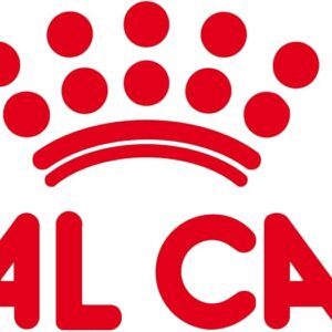 61X58YVrUBL. AC SL1500 .jpg