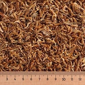 61X5gWSiiKL. AC .jpg