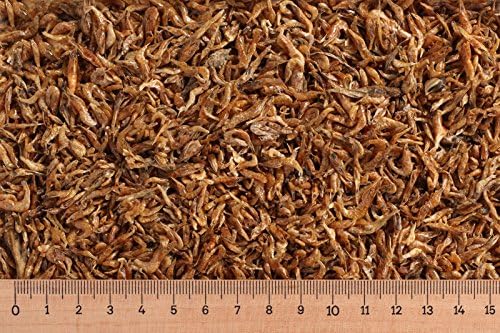 1 kg Garnelen 1-2 cm, Garnelen, Schildkrötenfutter, Reptilienfutter 1 kg Garnelen 1-2 cm, Garnelen, Schildkrötenfutter, Reptilienfutter