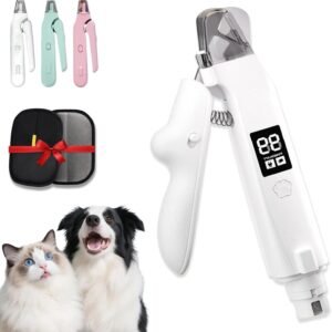 61XCnbKMH0L. AC SL1500 .jpg