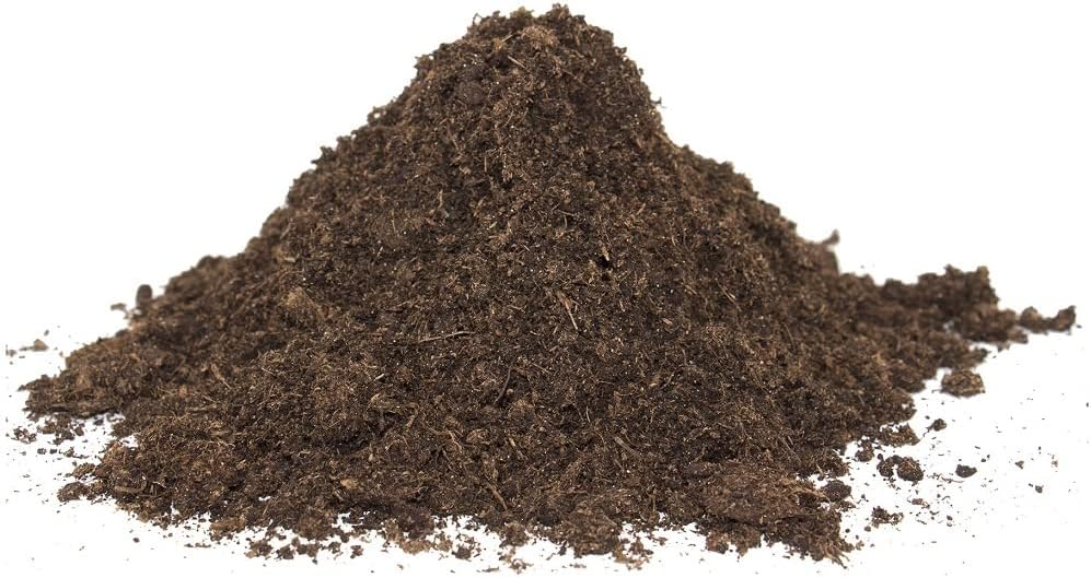 61XNL1Zod2L. AC SL1000 .jpg