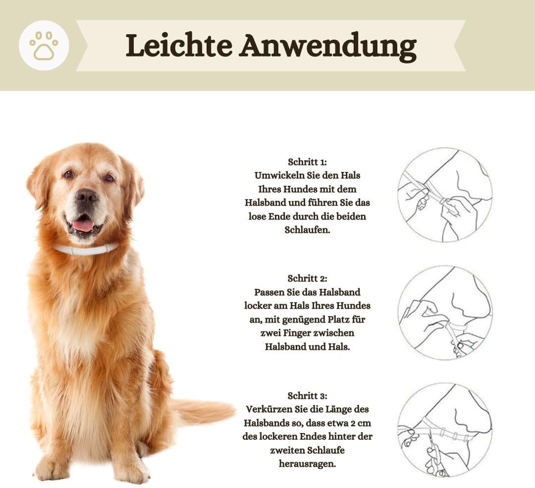 61Xe c89pL. AC SL1080 .jpg