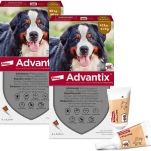 61Xs23V9YIL. AC SL1000 .jpg