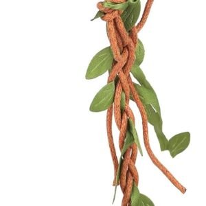 61Xslzs7ykL. AC SL1500 .jpg