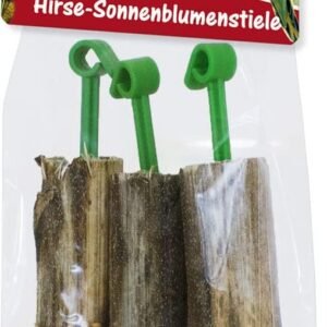 61Y1uzhabwL. AC SL1280 .jpg