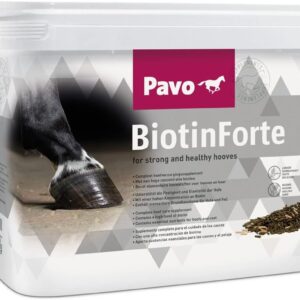 61YJUoI0qvL. AC SL1200 .jpg