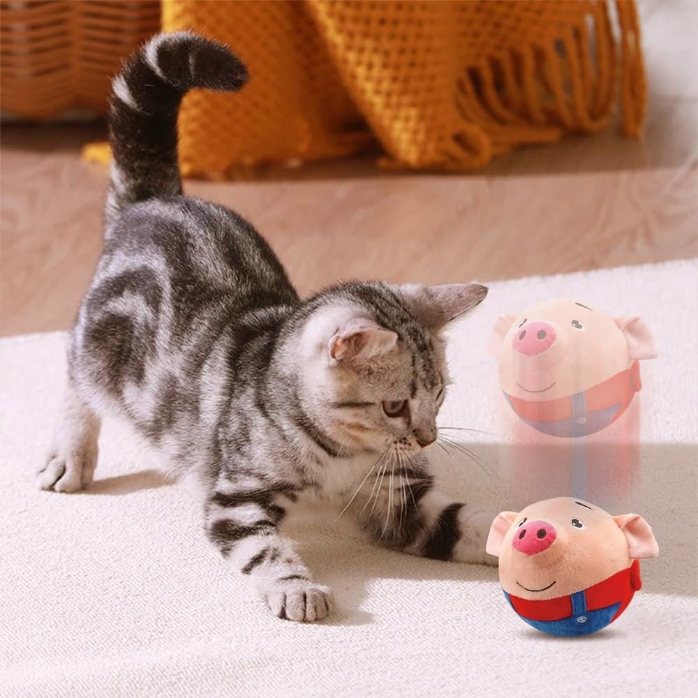 61YuDi8xnGL. AC SL1000 .jpg