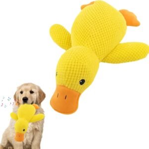 61Z5jLrPLcL. AC SL1500 .jpg